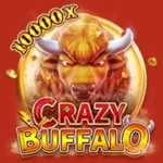 FACHAI Crazy Buffalo